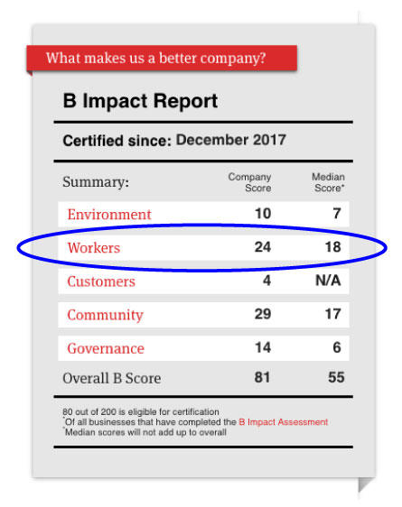 Our B Corp Commitment // Employee Focus