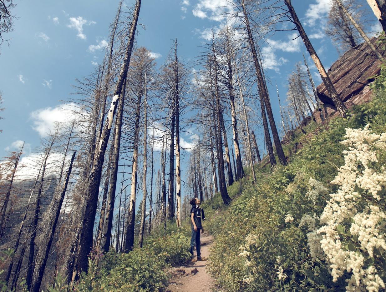 Friends of the Columbia Gorge